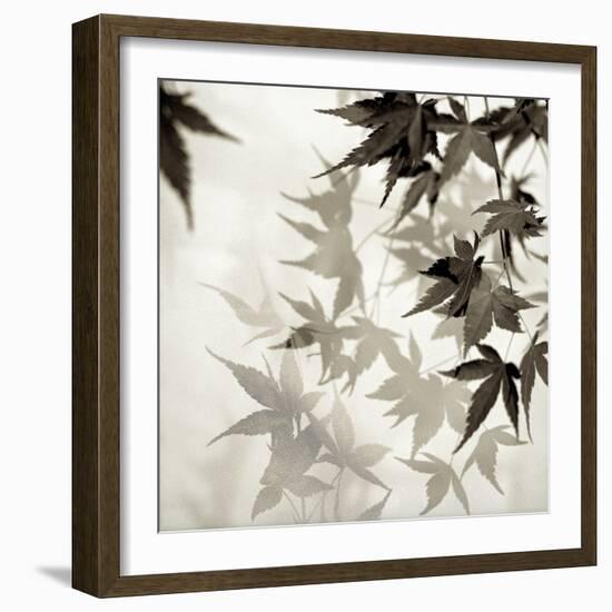 Florison 57-Alan Blaustein-Framed Photographic Print