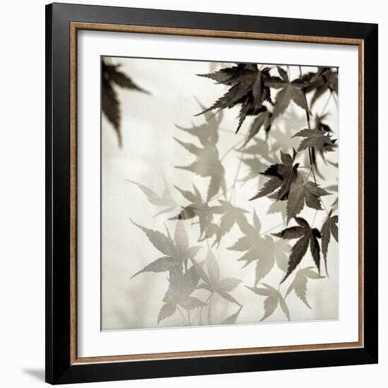 Florison 57-Alan Blaustein-Framed Photographic Print