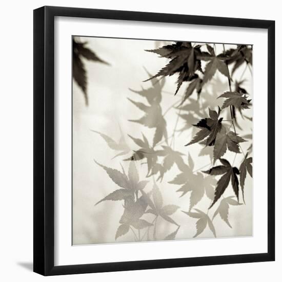 Florison 57-Alan Blaustein-Framed Photographic Print