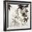 Florison 57-Alan Blaustein-Framed Photographic Print