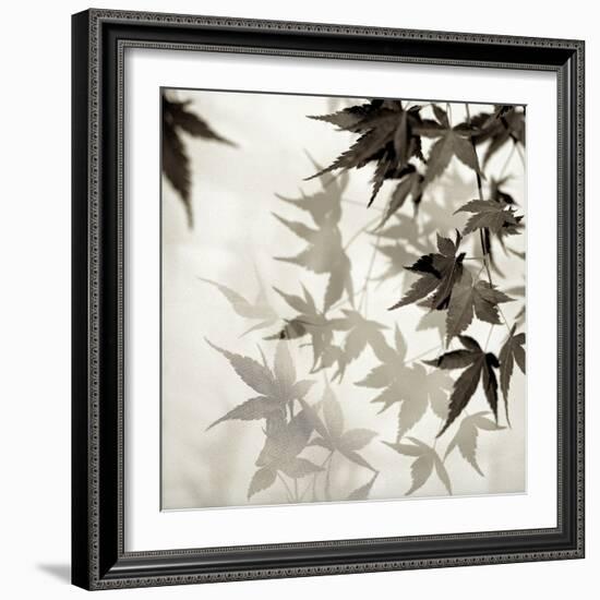 Florison 57-Alan Blaustein-Framed Photographic Print