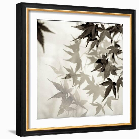 Florison 57-Alan Blaustein-Framed Photographic Print