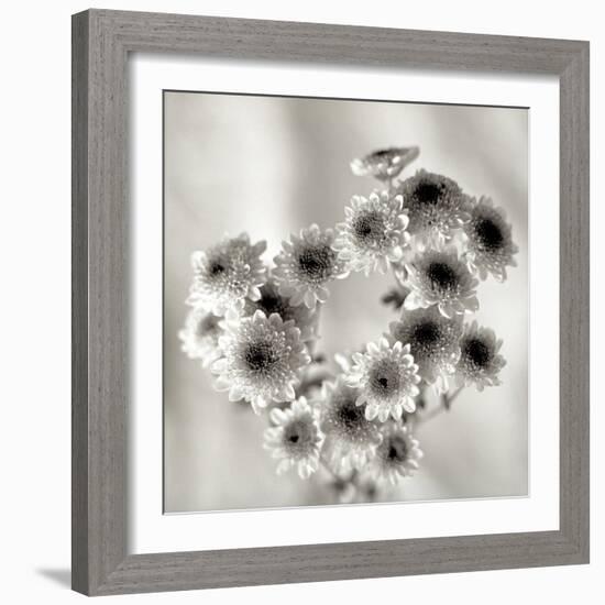 Florison 58-Alan Blaustein-Framed Photographic Print