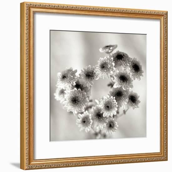 Florison 58-Alan Blaustein-Framed Photographic Print