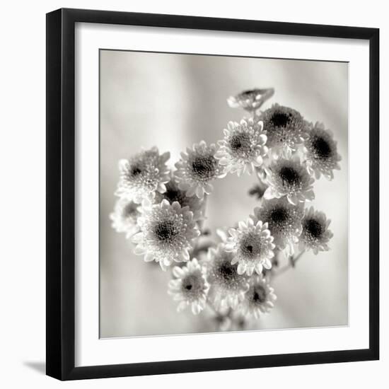 Florison 58-Alan Blaustein-Framed Photographic Print