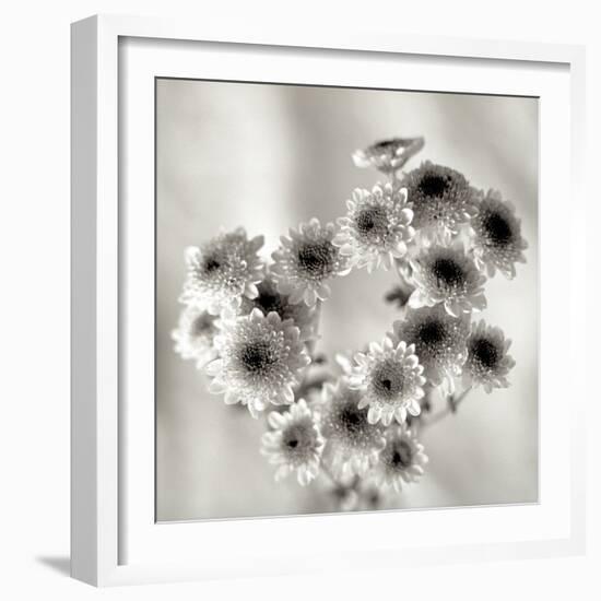 Florison 58-Alan Blaustein-Framed Photographic Print