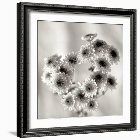 Florison 58-Alan Blaustein-Framed Photographic Print