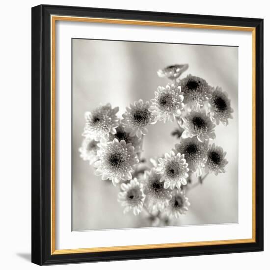 Florison 58-Alan Blaustein-Framed Photographic Print