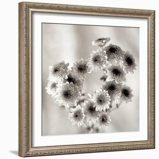 Florison #58-Alan Blaustein-Framed Photographic Print