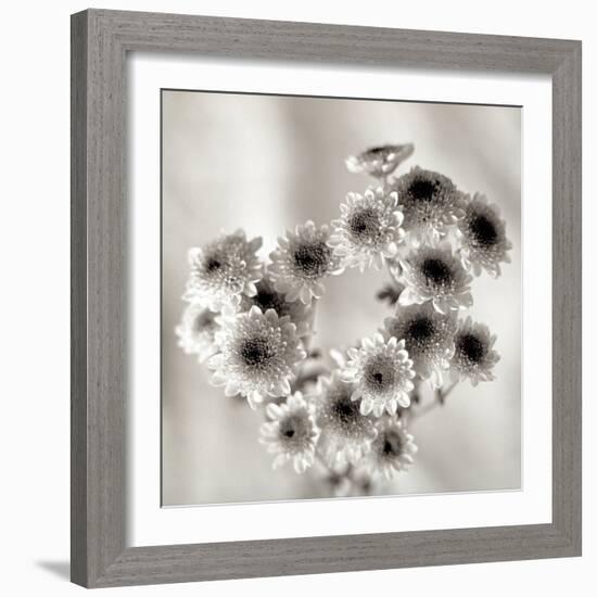 Florison #58-Alan Blaustein-Framed Photographic Print