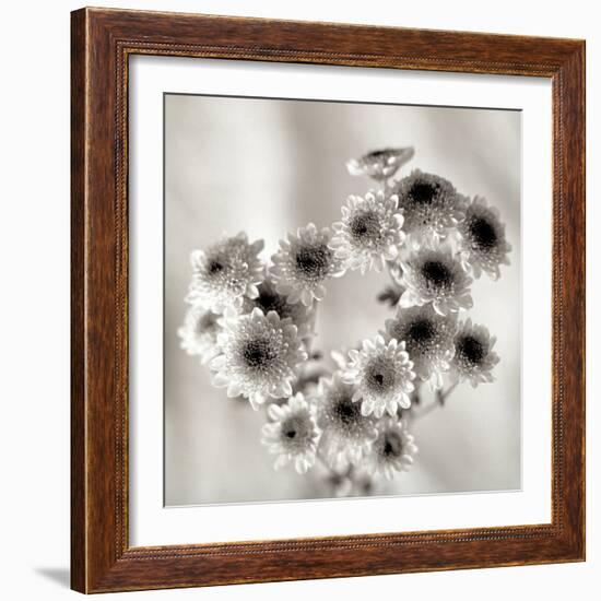 Florison #58-Alan Blaustein-Framed Photographic Print