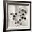 Florison #58-Alan Blaustein-Framed Photographic Print