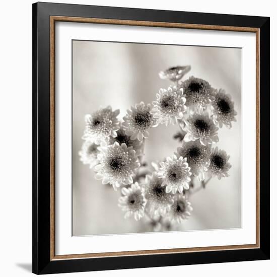 Florison #58-Alan Blaustein-Framed Photographic Print