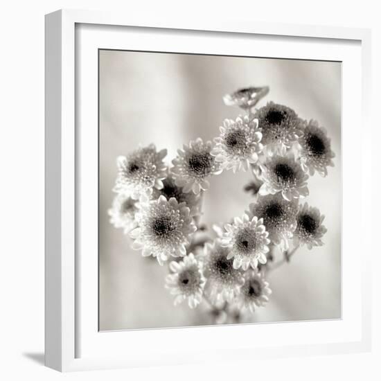 Florison #58-Alan Blaustein-Framed Photographic Print