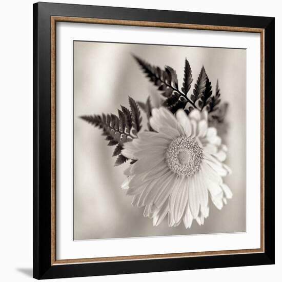 Florison #60-Alan Blaustein-Framed Photographic Print