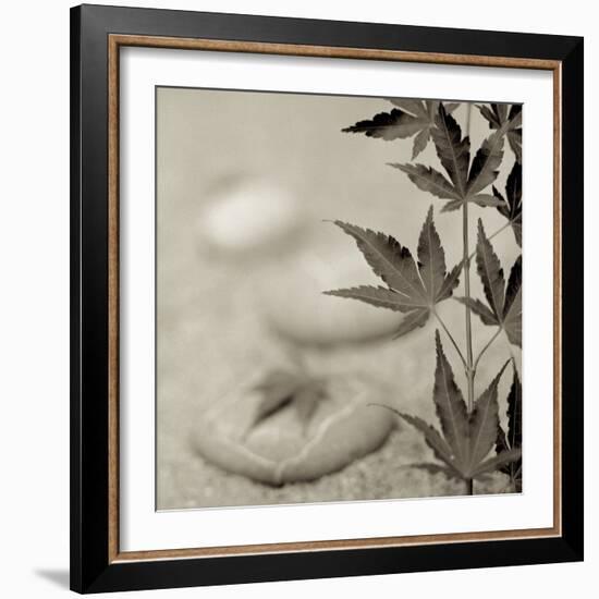 Florison 61-Alan Blaustein-Framed Photographic Print