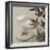 Florison 61-Alan Blaustein-Framed Photographic Print