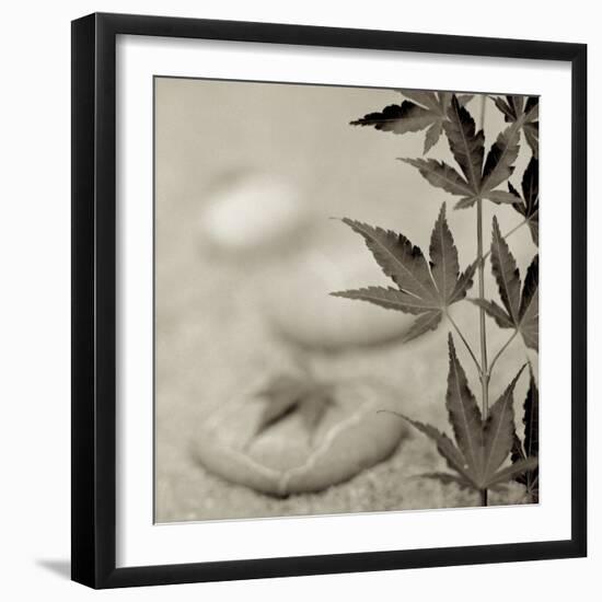 Florison 61-Alan Blaustein-Framed Photographic Print