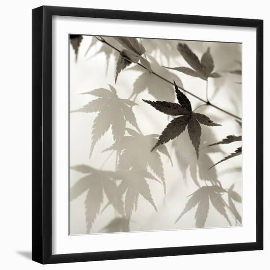 Florison 62-Alan Blaustein-Framed Photographic Print