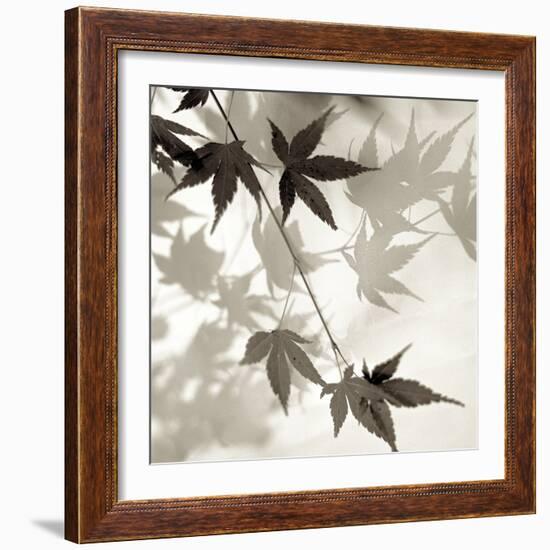 Florison 63-Alan Blaustein-Framed Photographic Print