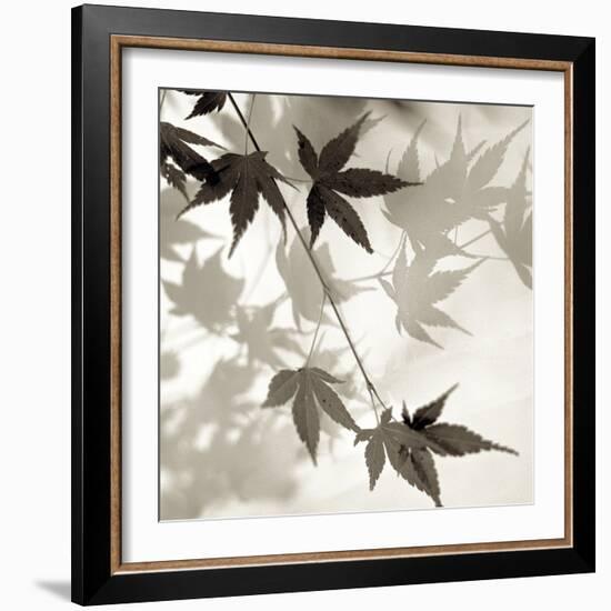 Florison 63-Alan Blaustein-Framed Photographic Print