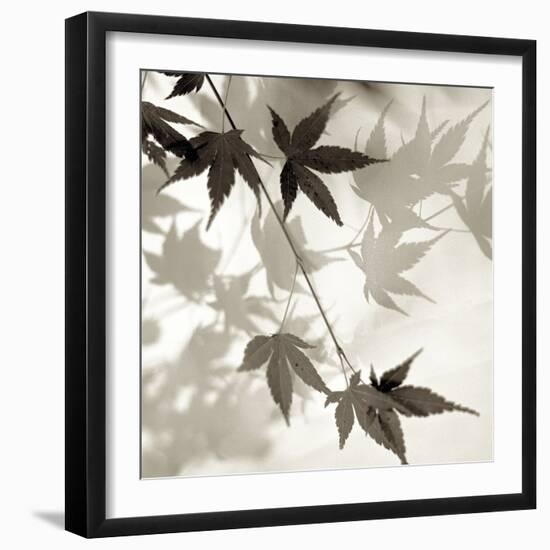 Florison 63-Alan Blaustein-Framed Photographic Print