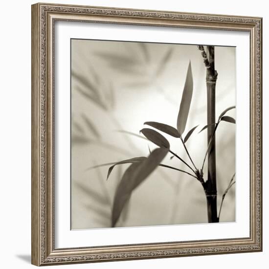 Florison 64-Alan Blaustein-Framed Photographic Print