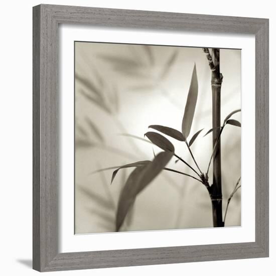 Florison 64-Alan Blaustein-Framed Photographic Print