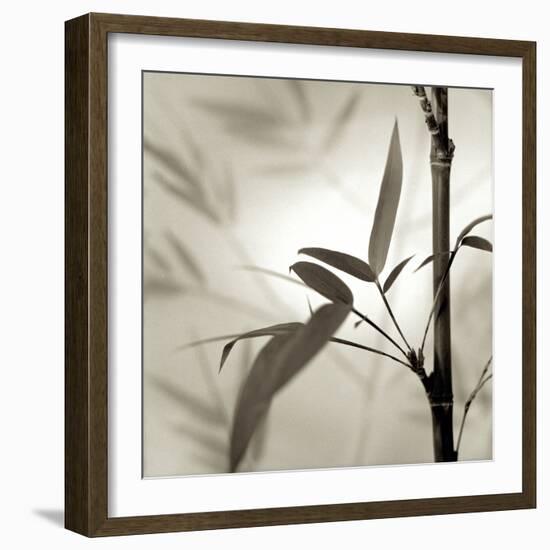 Florison 64-Alan Blaustein-Framed Photographic Print