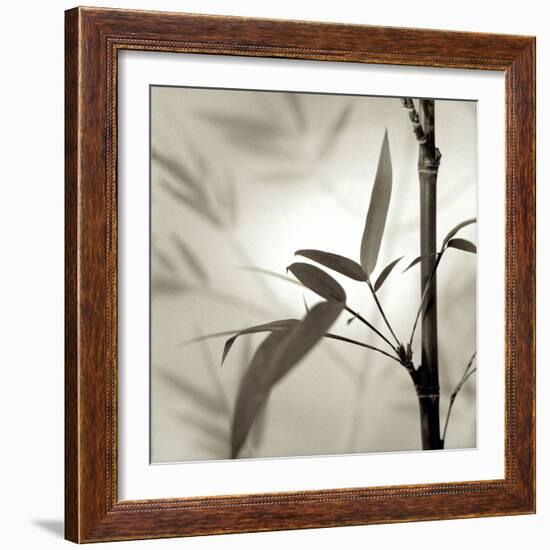 Florison 64-Alan Blaustein-Framed Photographic Print