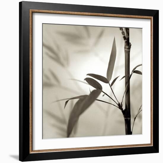 Florison 64-Alan Blaustein-Framed Photographic Print