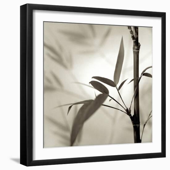 Florison 64-Alan Blaustein-Framed Photographic Print