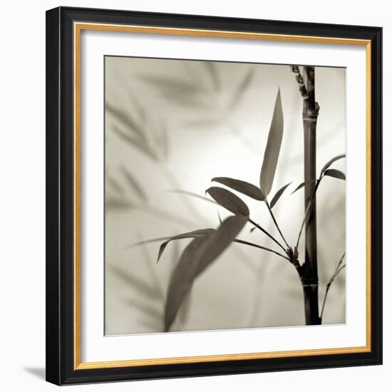 Florison 64-Alan Blaustein-Framed Photographic Print