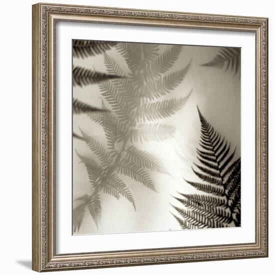 Florison 65-Alan Blaustein-Framed Photographic Print