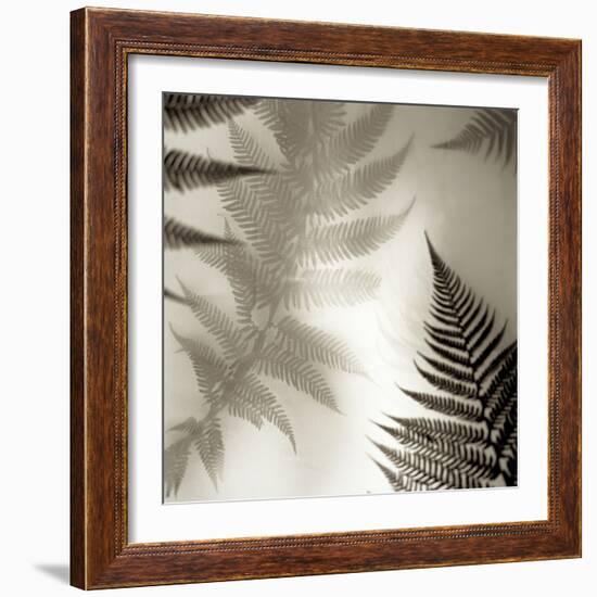 Florison 65-Alan Blaustein-Framed Photographic Print