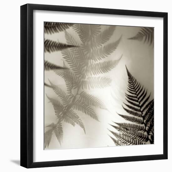 Florison 65-Alan Blaustein-Framed Photographic Print