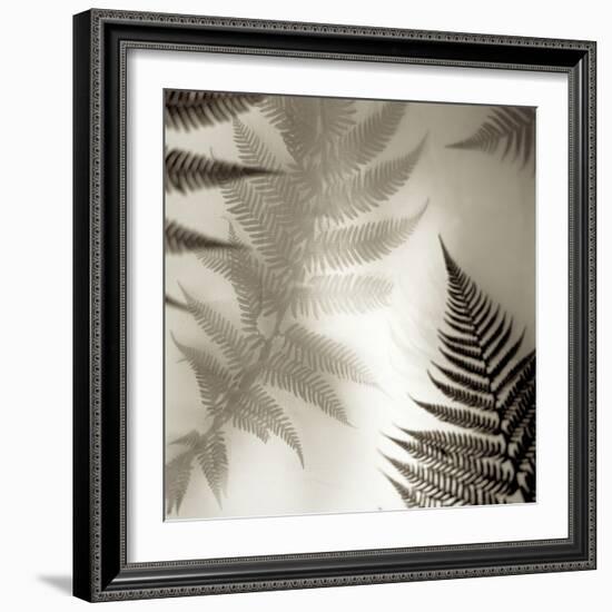 Florison 65-Alan Blaustein-Framed Photographic Print