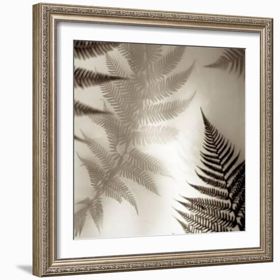 Florison #65-Alan Blaustein-Framed Photographic Print