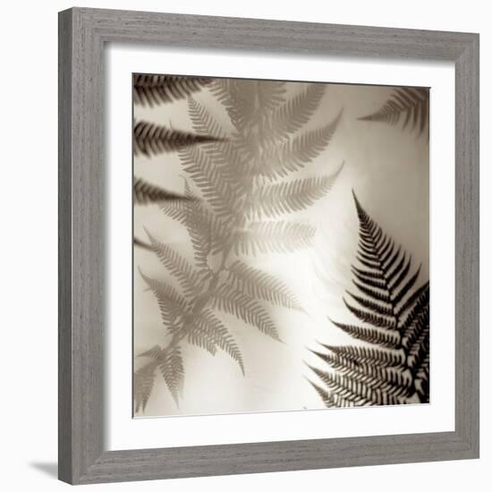 Florison #65-Alan Blaustein-Framed Photographic Print