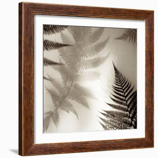 Florison #65-Alan Blaustein-Framed Photographic Print