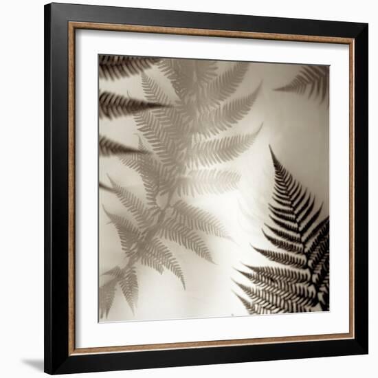 Florison #65-Alan Blaustein-Framed Photographic Print