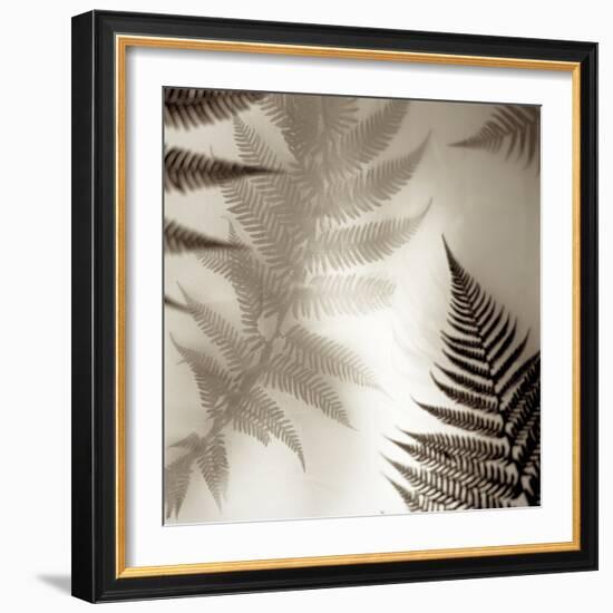 Florison #65-Alan Blaustein-Framed Photographic Print