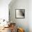 Florison 66-Alan Blaustein-Framed Stretched Canvas displayed on a wall