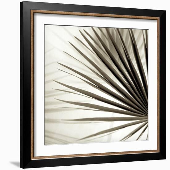 Florison 66-Alan Blaustein-Framed Photographic Print