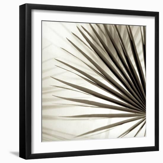 Florison 66-Alan Blaustein-Framed Photographic Print