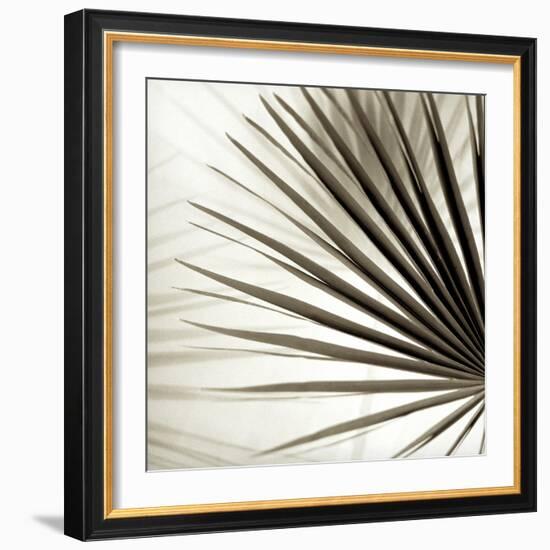 Florison 66-Alan Blaustein-Framed Photographic Print