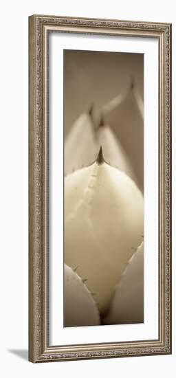 Florison #67-Alan Blaustein-Framed Photographic Print