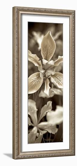 Florison 68-Alan Blaustein-Framed Photographic Print