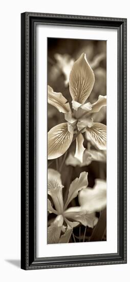 Florison 68-Alan Blaustein-Framed Photographic Print