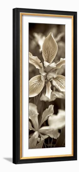 Florison 68-Alan Blaustein-Framed Photographic Print